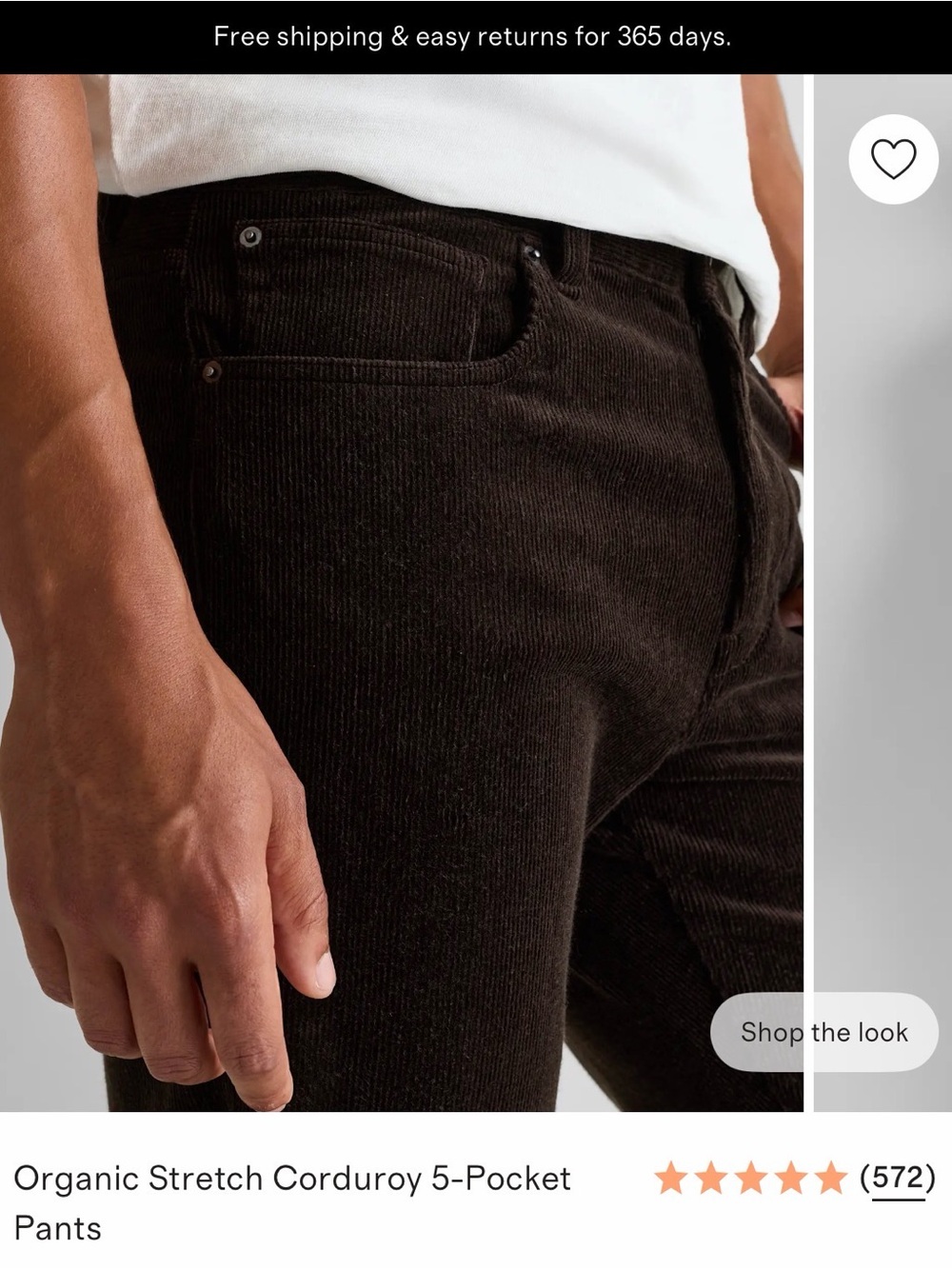 36x30” Quince Men's Corduroy Pants in Espresso - Picture 2 of 4